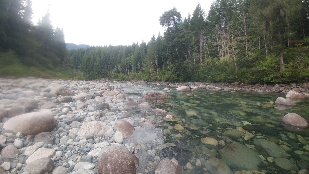 Over Western Shores: My 2023 British Columbia Summer Holiday - Eighth Day: Gold River and Strathcona Provincial Park
