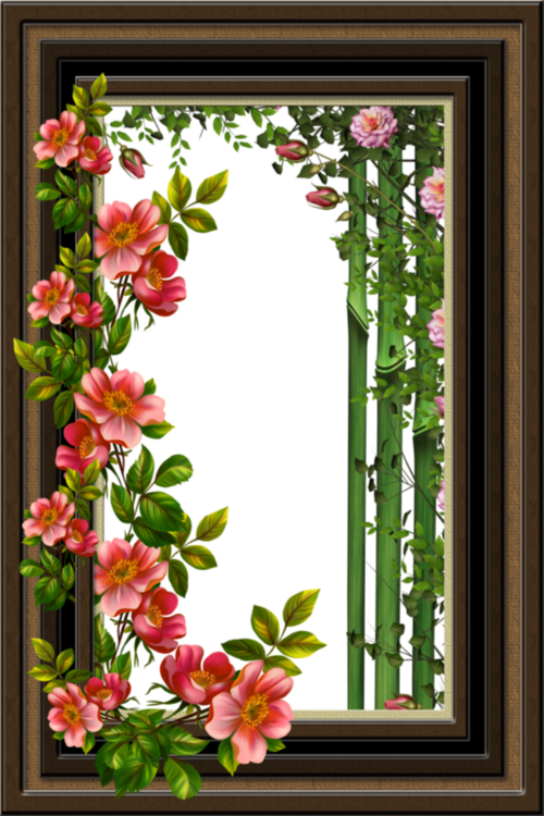 Frames flowers PNG