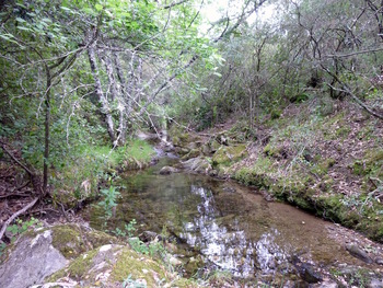 Le ruisseau de Saint-Daumas
