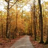 Piste cyclable autour du Lac de la Foret d'Orient