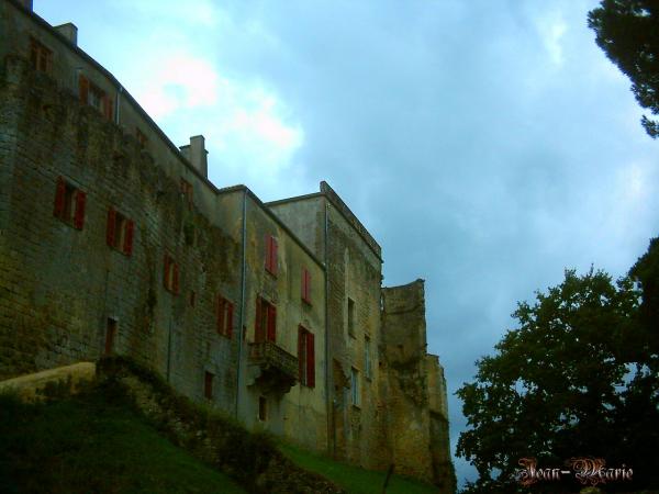 le château des Benauges (arbis) gironde