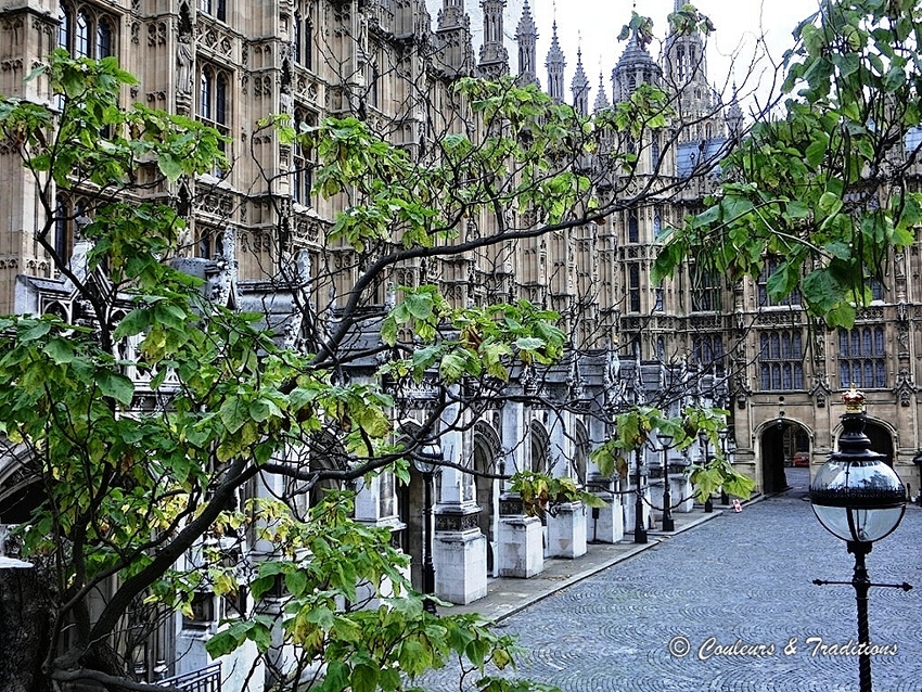 Palais de Westminster et Big Ben 