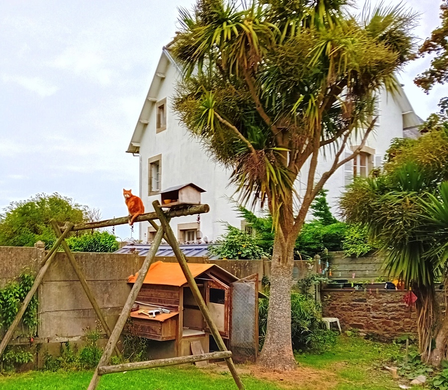  jeudi photos vrac d 'été 