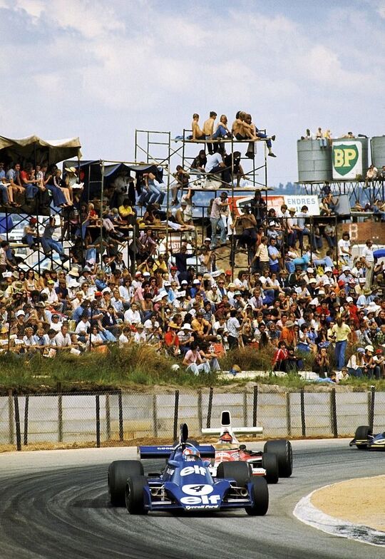 Patrick Depailler F1 (1972-1975)