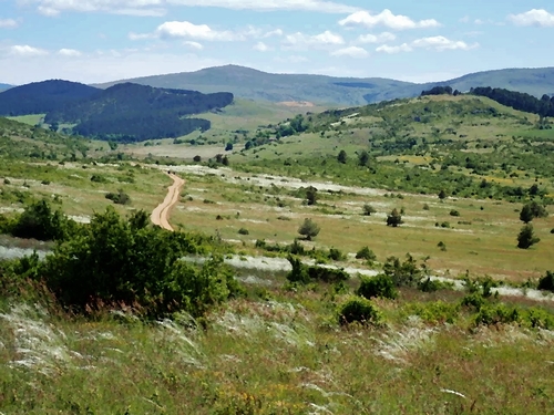 Le grand Méjean vers Florac.