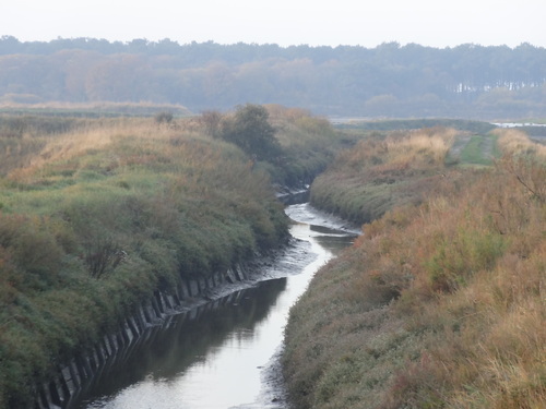 Brume et lever de soleil sur les marais de guerande