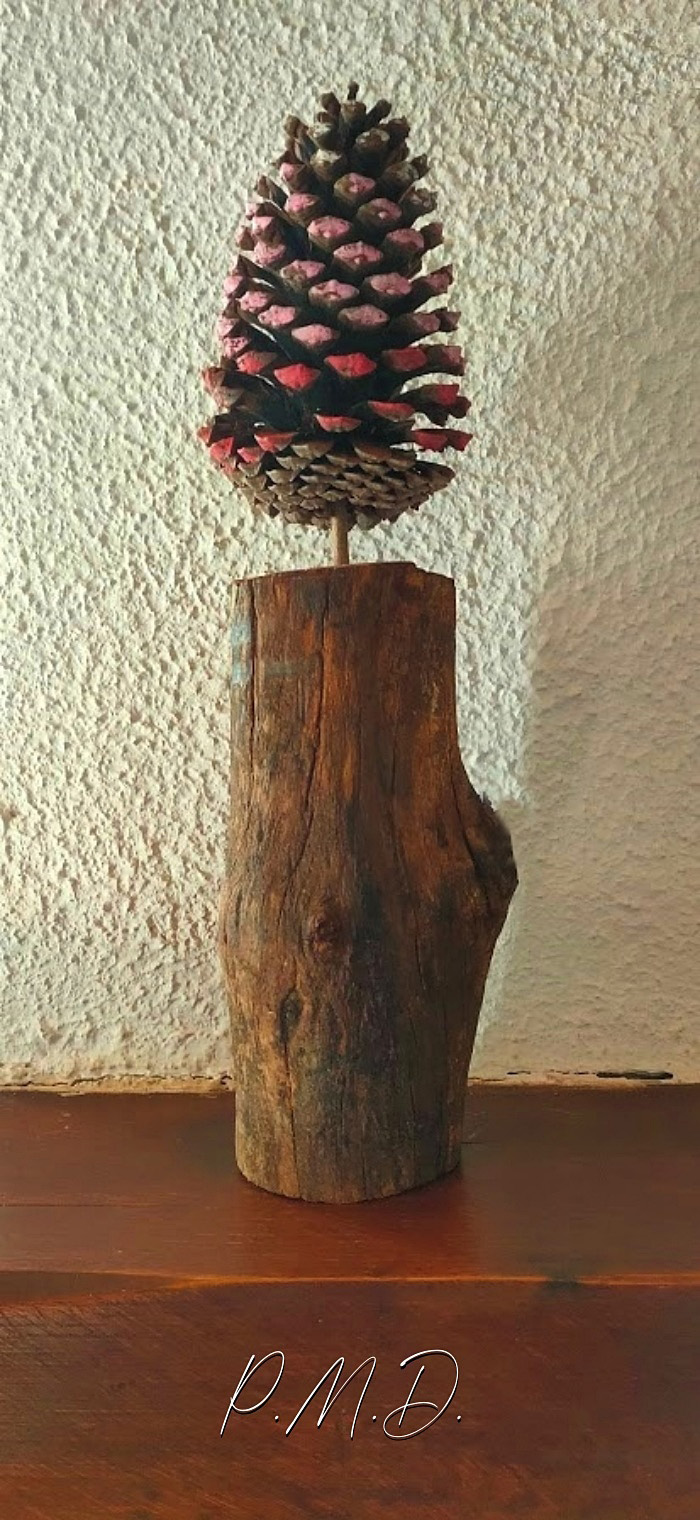 24/06/24 - L'arbre rose