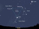 Sirius Constellations des chiens