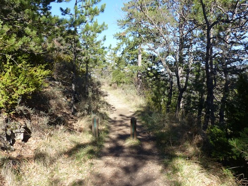 Sentier découverte de Garde Grosse (Nyons - 26)