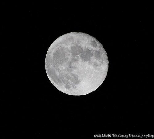 Pleine lune : 07 novembre 2014