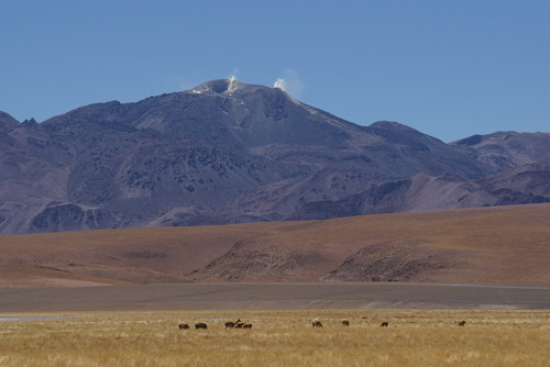 Geysers del Tatio - Goodbye Atacama !