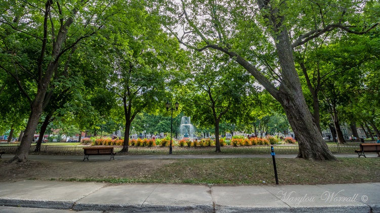 Montréal : Plateau du Mont-Royal 2/2