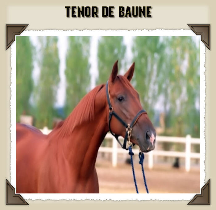 tenor de baune