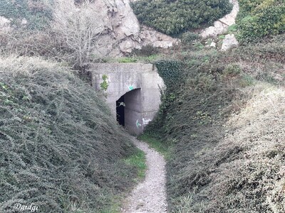 Le tunnel de Laye