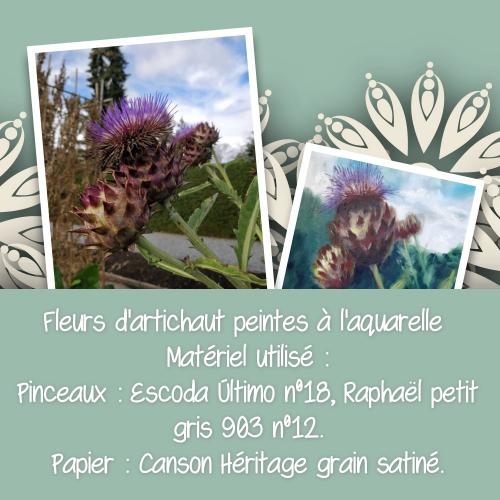 Dessin et peinture - vidéo 3381 : Comment peindre des fleurs d'artichaut ou de chardon ? - aquarelle.