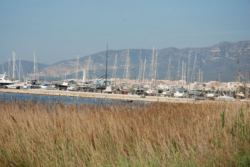 Le port de San Carle de la Répita