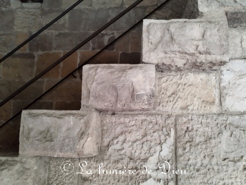 Fréjus, le cloître de la cathédrale saint Léonce