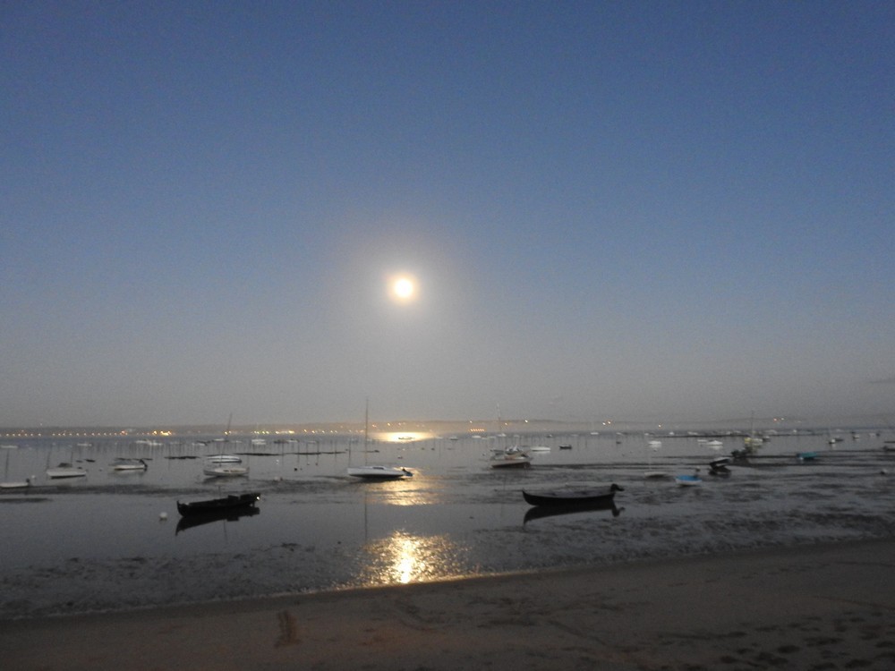 Clair de lune à Bélisaire, au Cap-Ferret...