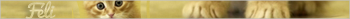 Magic card (2éme modèle) MtGPjQFSeHqzl1zoiU-5zwGCNig