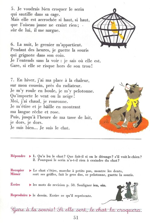 Le chat