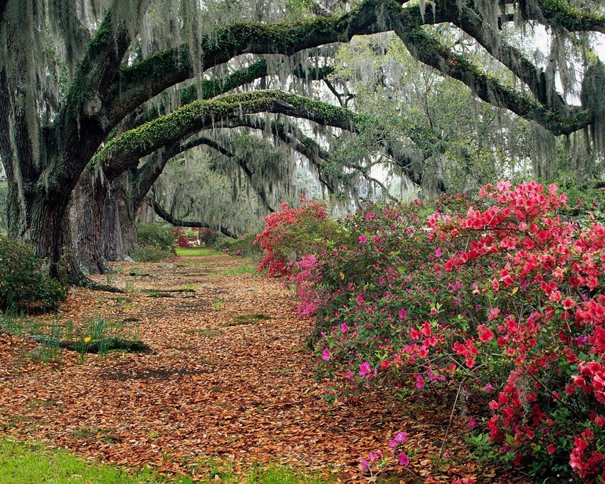 5 images d'automne