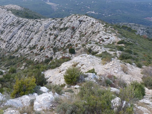 Croix de Provence (2)