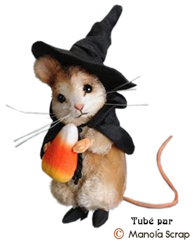 L' Halloween des petites souris 
