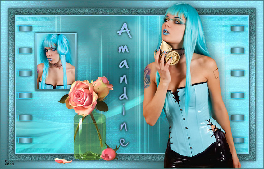Vos versions Amandine