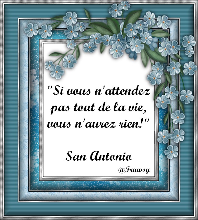 Citation de San Antonio Demander et Oublier Frawsy