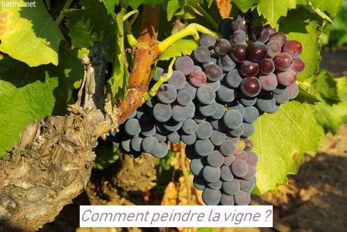 Dessin et peinture - vidéo 2912 : Comment peindre vignes ou vignoble ? - pastel sec.