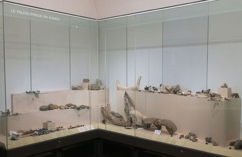 Visite du Musée Archéologique à Strasbourg