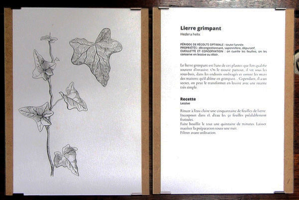 Une belle exposition d'illustration sur les plantes du Châtillonnais a eu lieu à la Bibliothèque Municipale....