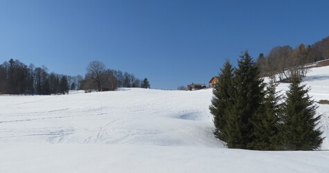 Plaine-Joux, le 28-02-2018, ARMAND