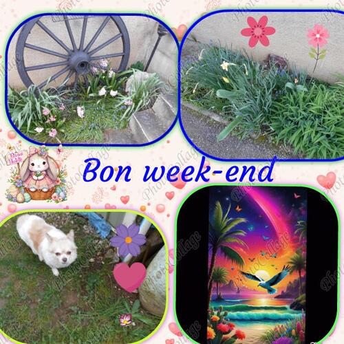  Bon week-end mes ami(e)s 