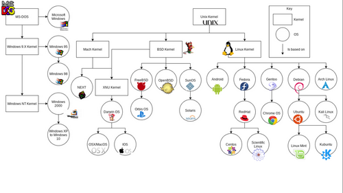Historique des branches Linux et BSD