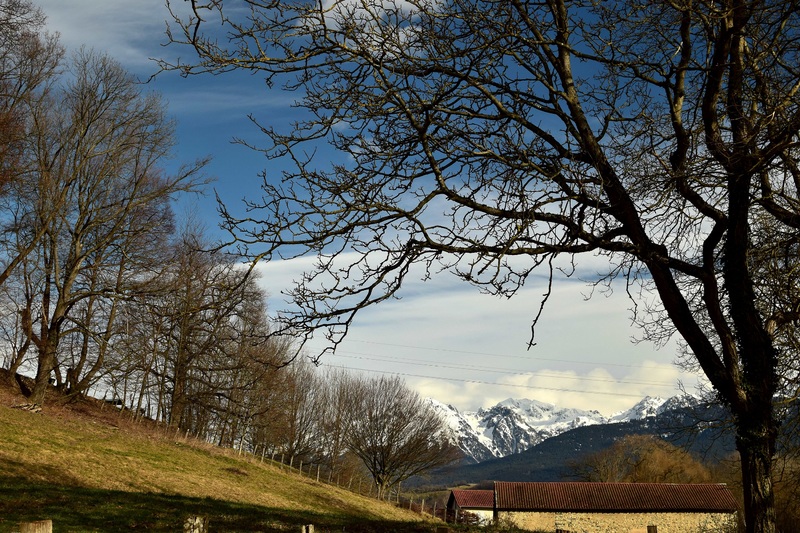 2018.01.15 Autour du Golf de Bresson (2)