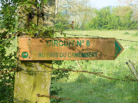 Au pays du Camembert