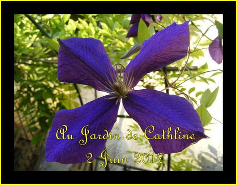 balade au jardin et jardiner avec la lune du 11 au 20 juin 