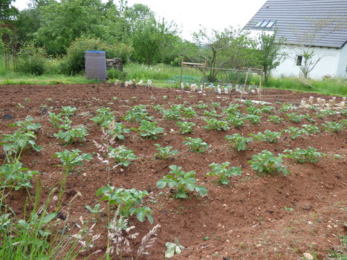 Un petit tour au jardin entre deux averses...