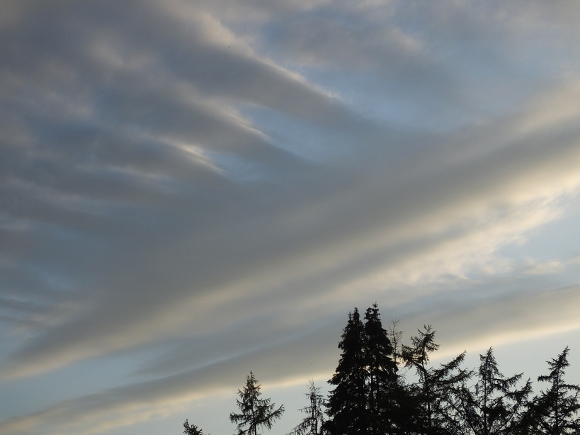 Il y a le ciel, les oiseaux et les fleurs