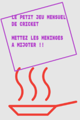 Petit Jeu Mensuel de Cricket