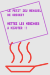 Petit jeu mensuel de Cricket - Décembre 22 et Janvier 23