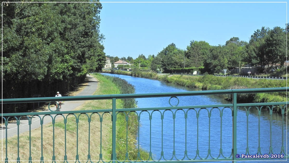 Le long du canal latéral à la Garonne - Août 2016 - 8/12