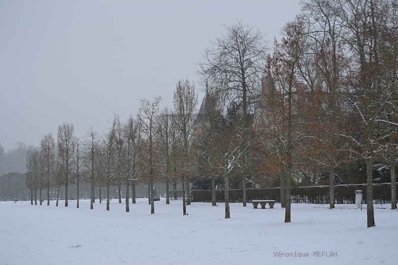 Rambouillet sous la neige (22 janvier 2019)