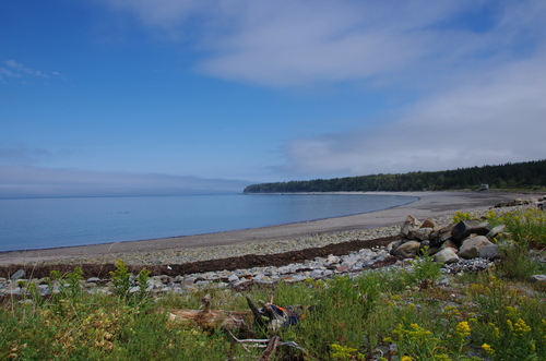 l'Acadie