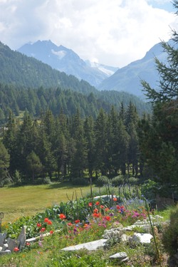 Suisse Lucerne Grisons et lac de Constance - Août 2015 