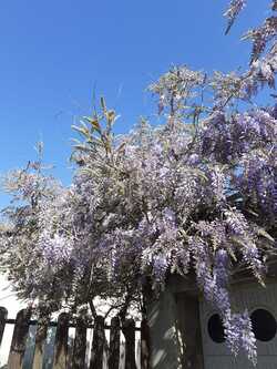 Photographier le printemps ! 