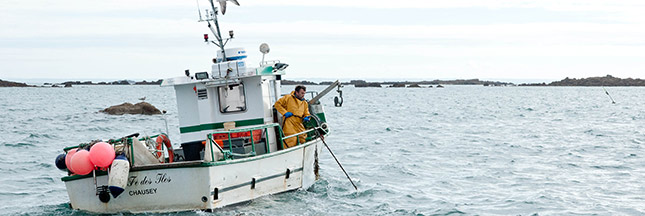 'On peut manger du poisson durable sans nuire aux stocks'