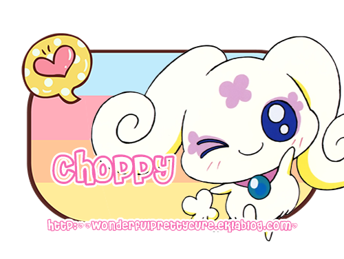 Présentation de Choppy 