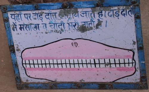 Entre Bijaipur et Bundi